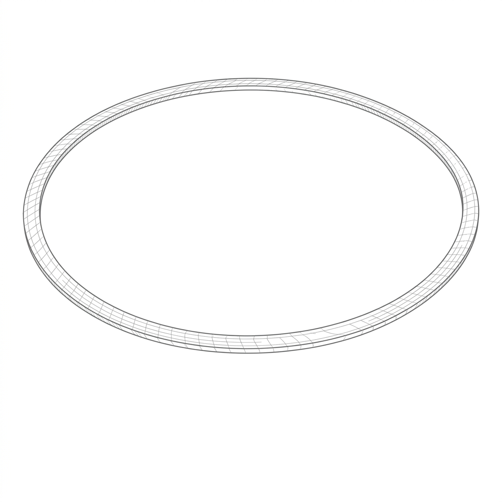 Representative ring gasket technical illustration; not an exact depiction of CDS-GF-1101